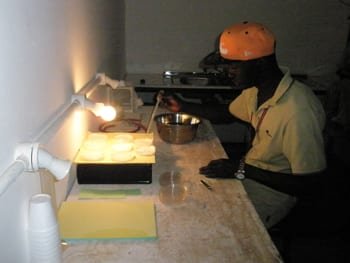 Mosquito Research